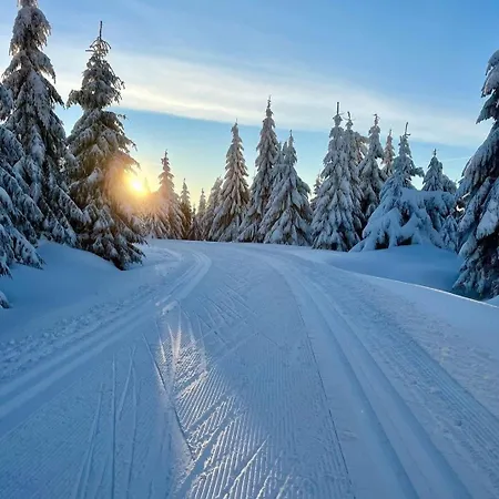 Alpehytte U Dostalu *